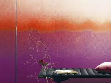 Shady Purple