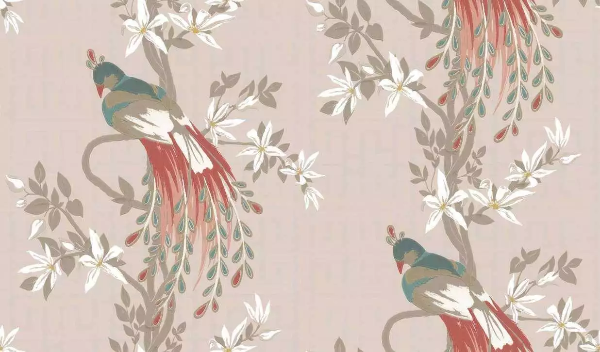 Soraya, col.04 - Blumen - Blätter - Tapeten mit Vogelmotiven - Hellbraun - Multicolor - Osborne & Little