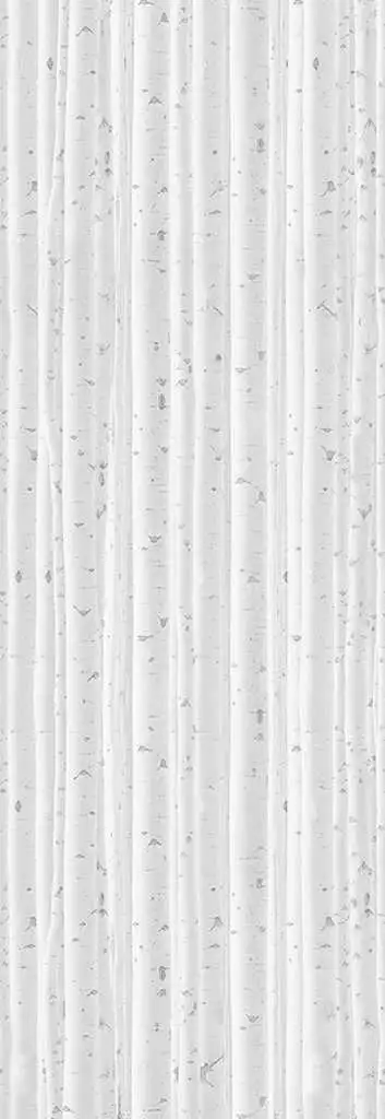 BirchesWood - Bäume - Zeichnungen - Weiß - Ingo Krasenbrink Design