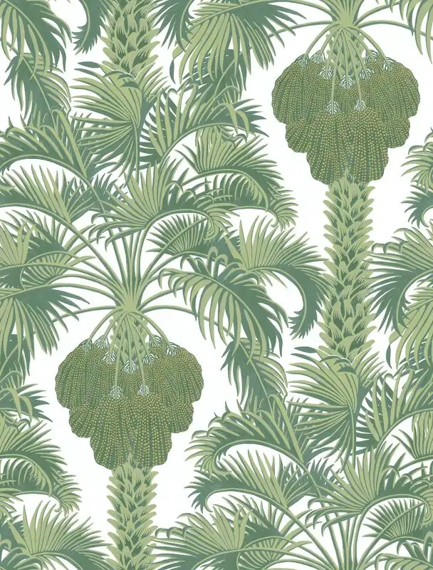 Hollywood Palm, col. 4