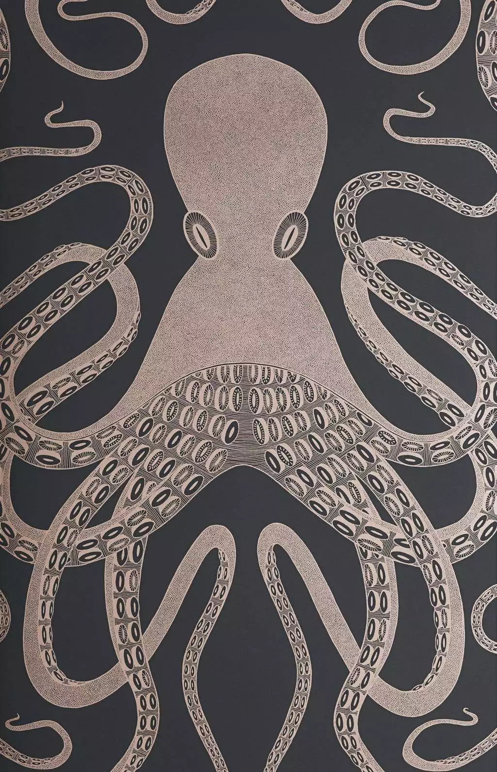 Octopus Black Ink. Octopus Black Ink.