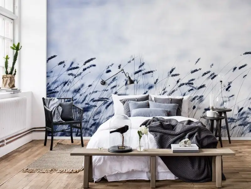 Scandinavian Light