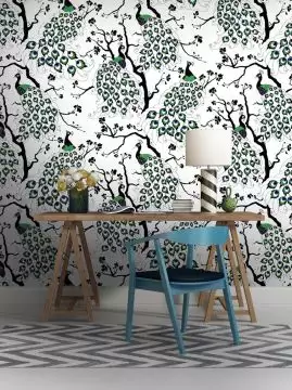 Peacock, Colour