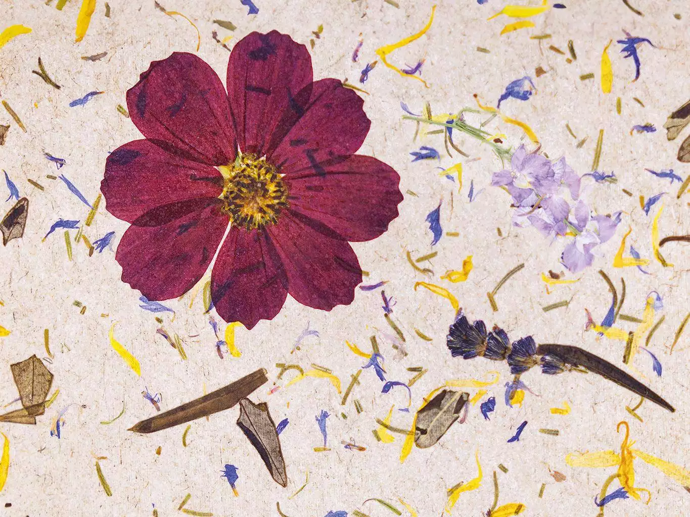 Carpe Diem - Blumen - Blätter - Florale Muster - Naturfaser - Multicolor - ORGANOID