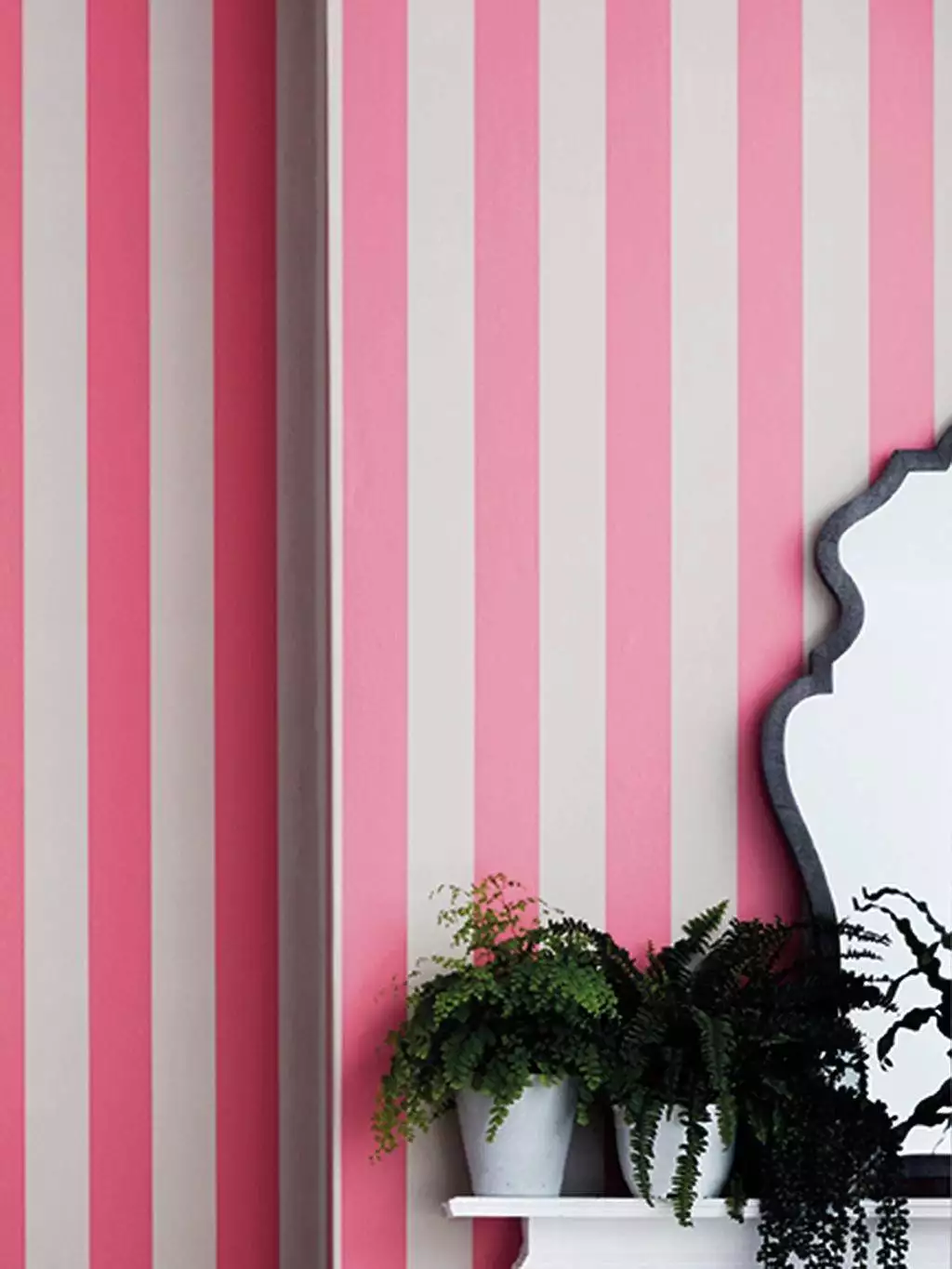 Glastonbury Stripe, col. 1 - Blockstreifen - Blockstreifen: - Streifentapeten - Streifentapeten: - Grau - Pink - Cole & Son