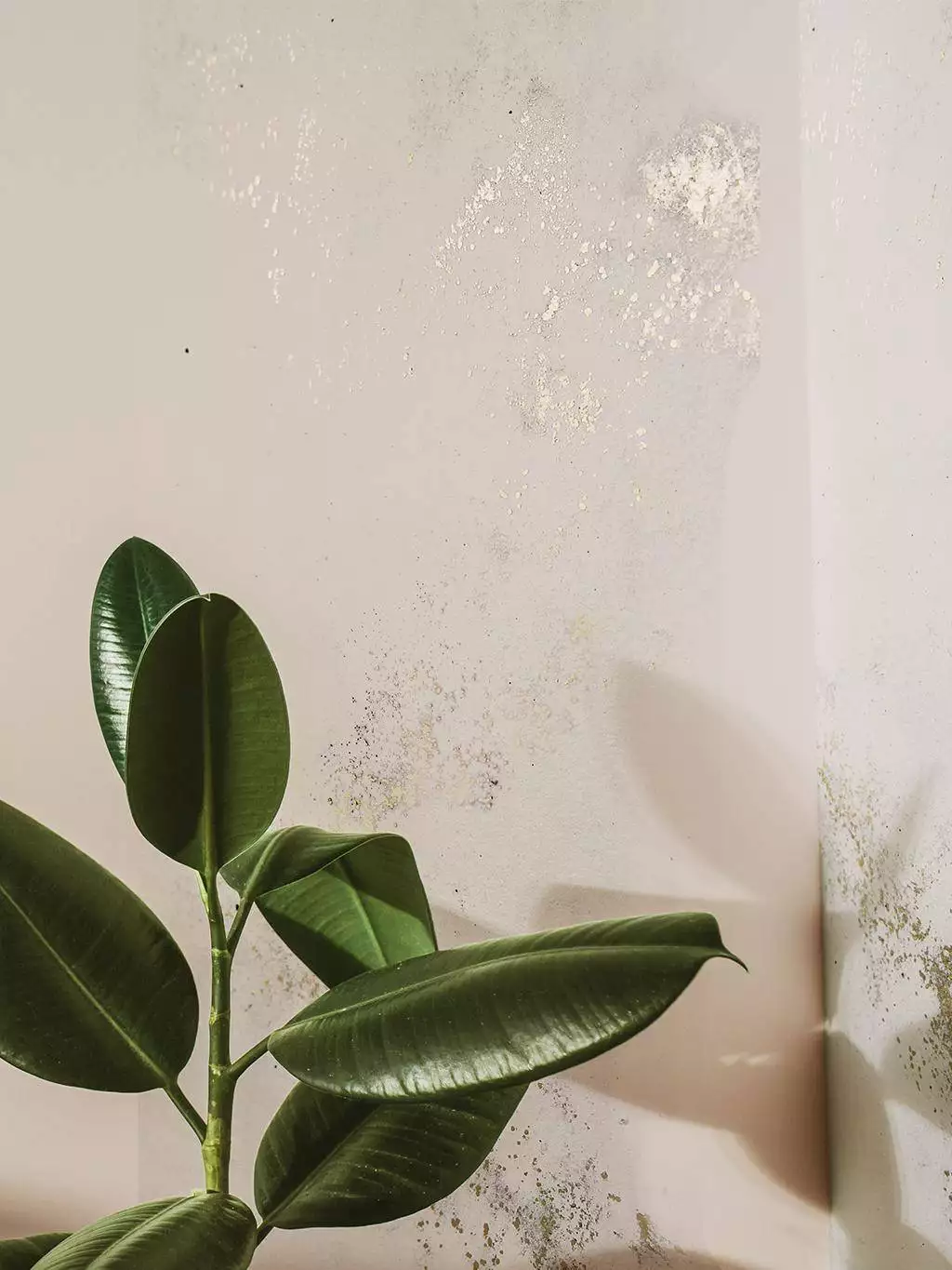 Igneous, calamine - Metallic - Creme - Gold - Pastell - Rosa - Custhom