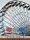 Wheel, petrol