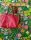 Bloom Wallpaper in Forest-Green - Blumen - Blätter - Florale Muster - Multicolor - Wear the walls