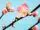 Peach Blossom - Blumen - Großmotiv - Braun - Rosa - Türkis - Komar.Vlies