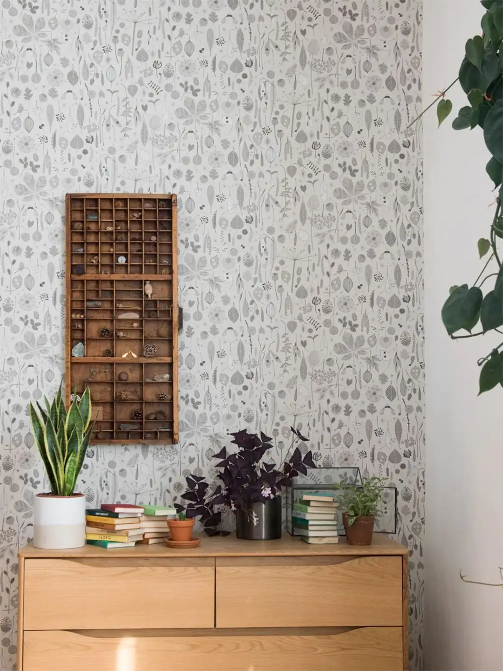 Tiny Treasures Wallpaper in Dove - Blumen - Blätter - Grau - Hannah Nunn