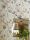 Ileana, col.06 - Blumen - Multicolor - DESIGNERS GUILD