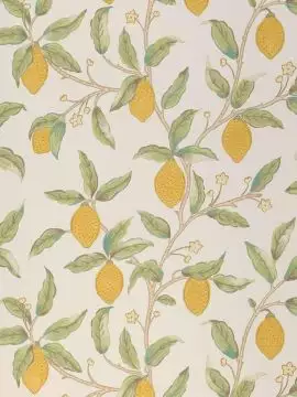 Lemon Tree, Bay Leaf
