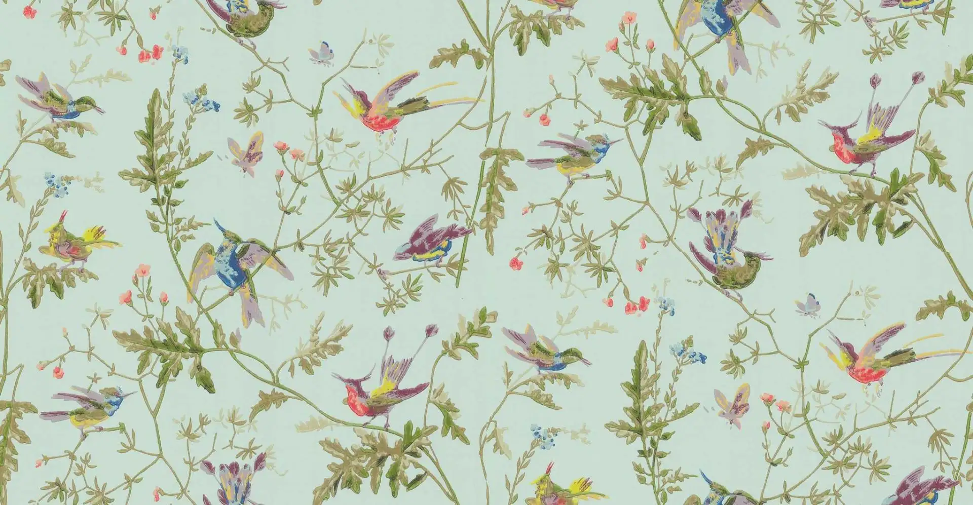 Hummingbirds, col.04 - Blumen - Tapeten mit Vogelmotiven - Tier Tapeten - Mint - Multicolor - Cole & Son