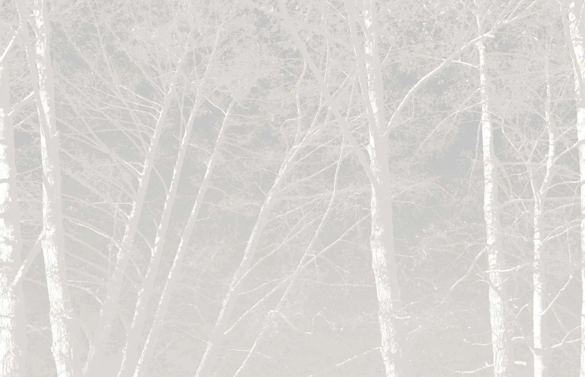 forrest white - Bäume - Äste - Weiß - Ingo Krasenbrink Design