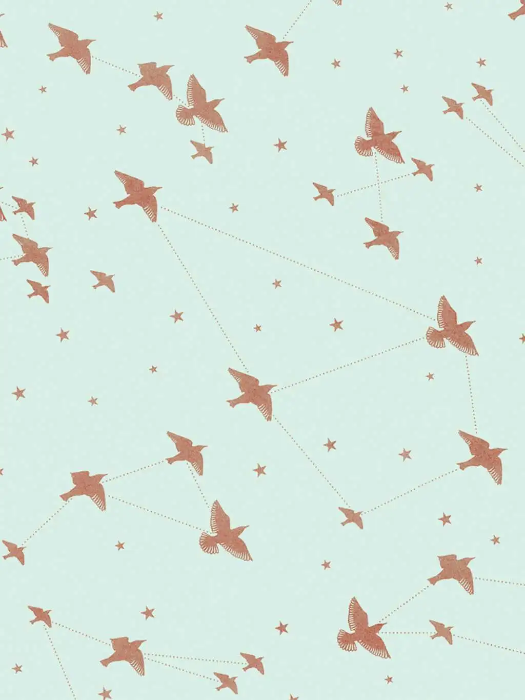 Star-ling, pale verdigris & copper - Sterne - Tapeten mit Vogelmotiven - Bronze - Mint - Mini Moderns