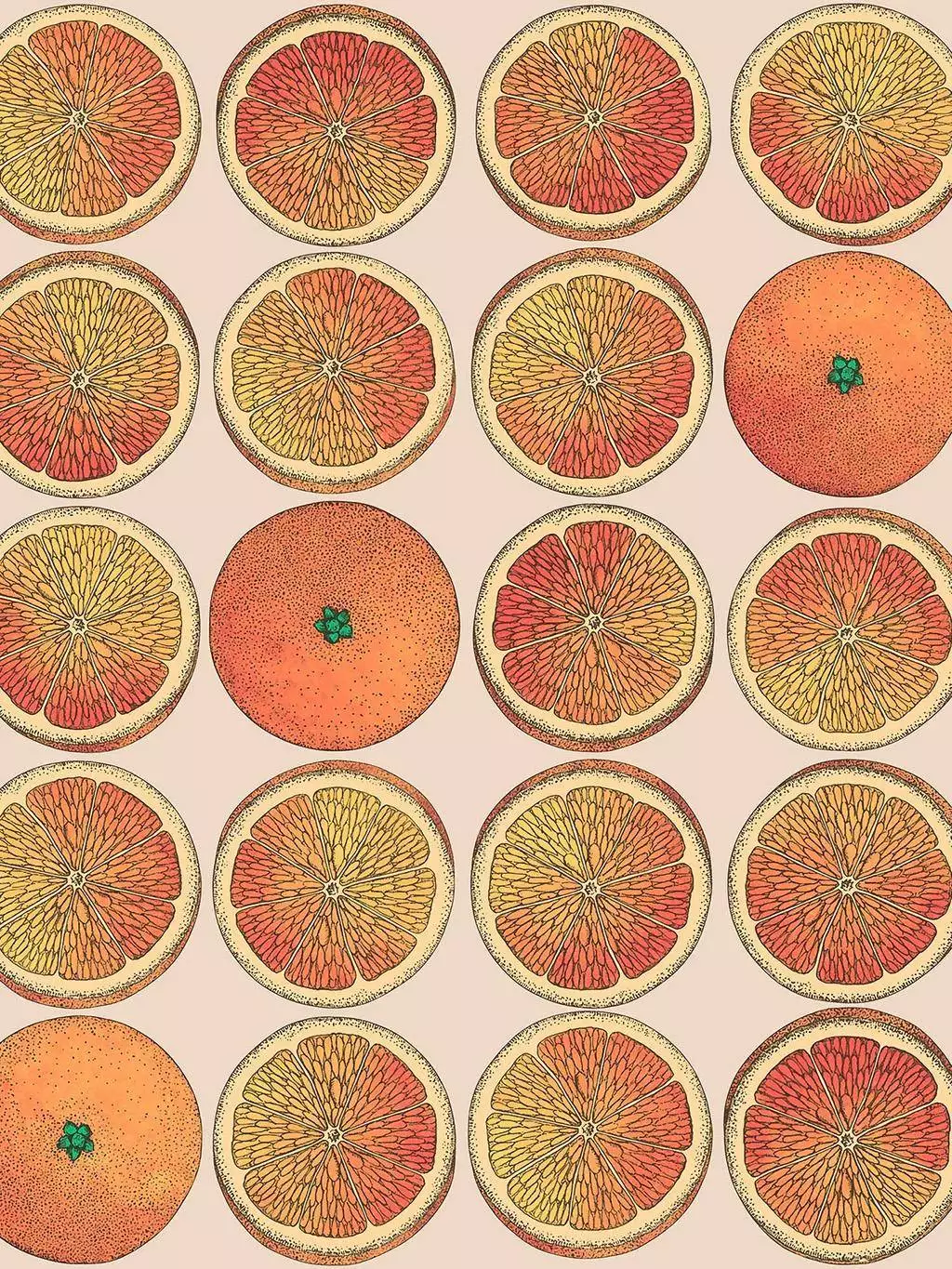 Arance, col. 7 - Früchte - Obst - Orange - Cole & Son