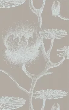 Lily, col. 10