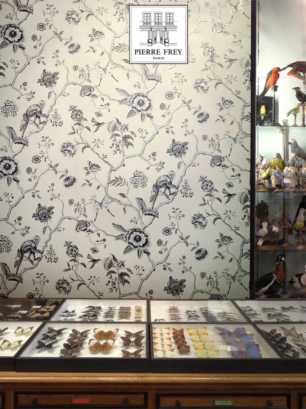 Jardin de Paradis, Racine - Blumen - Tier Tapeten - Äste - PIERRE FREY GmbH