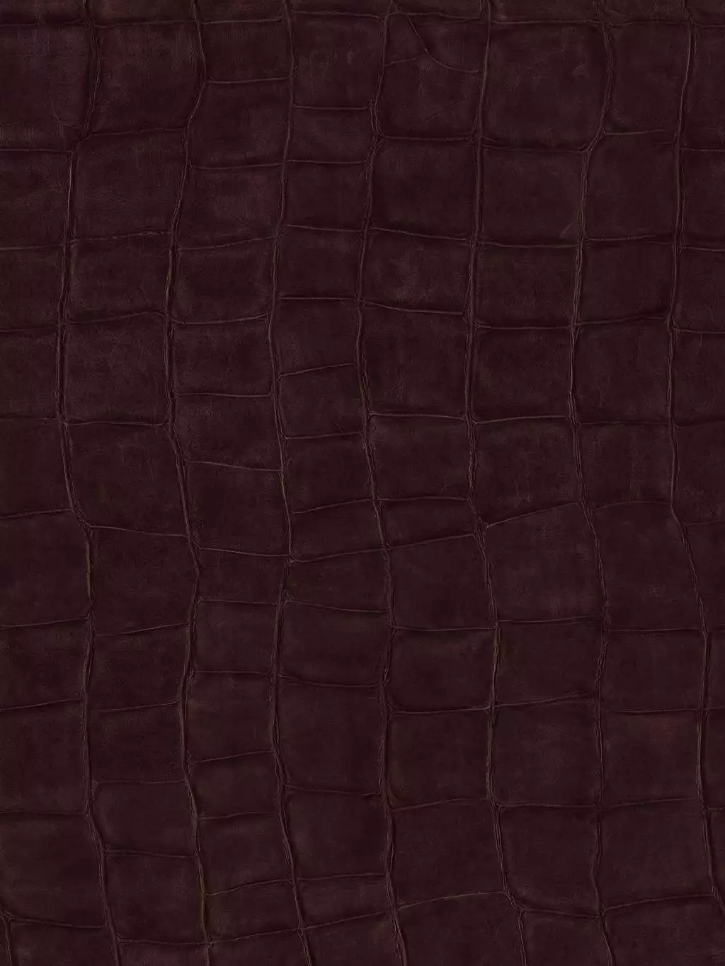 Big Croco, col. 11 - Leder - Tierhaut - Braun - Èlitis