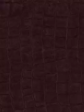Big Croco, col. 11