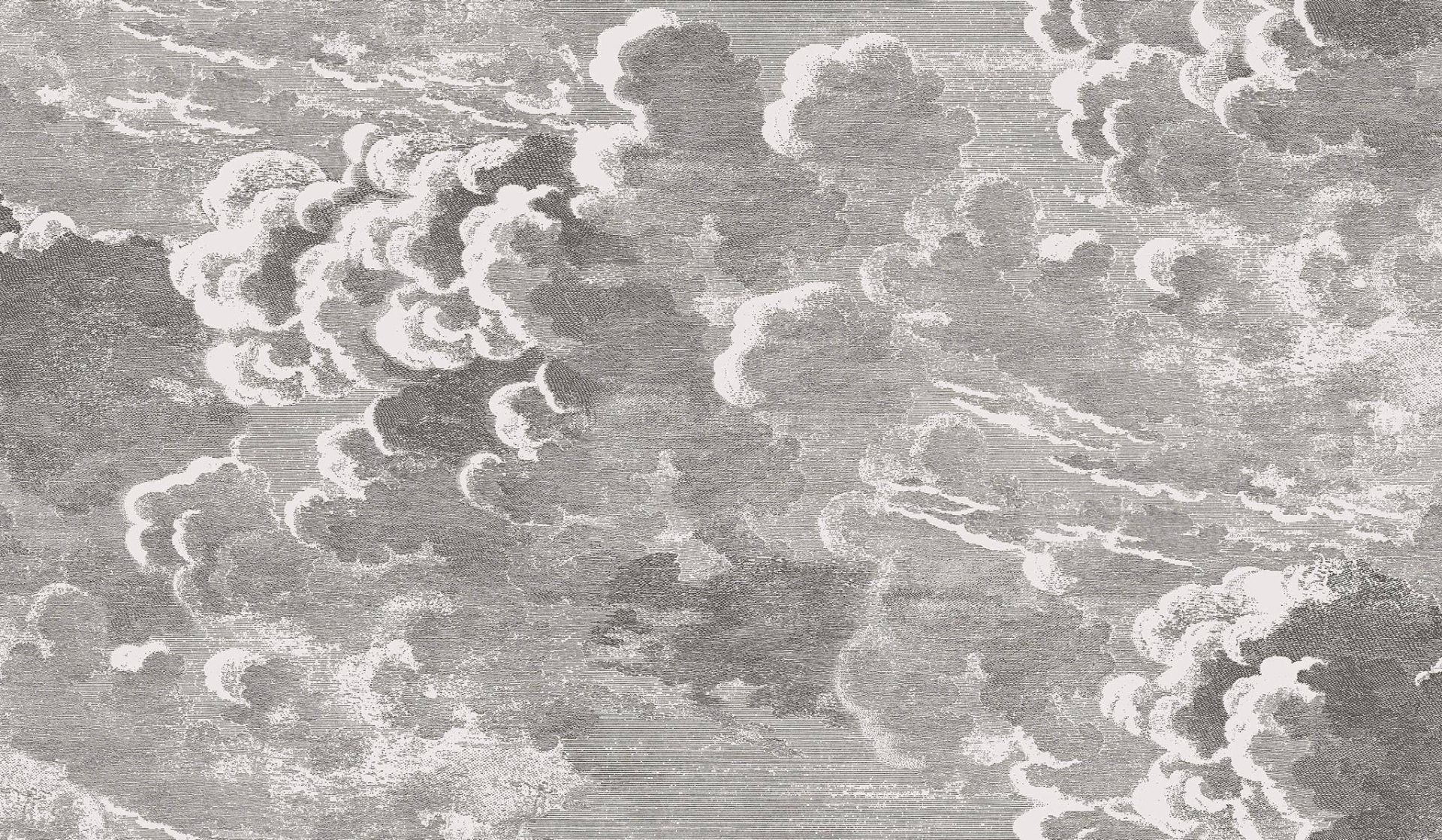 Nuvolette, Metallic Gilver & Charcoal - Wolken - Zeichnungen - Anthrazit - Silber! - Cole & Son